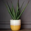 New Aloe pot bicolore Fleur, Plante Artificielle