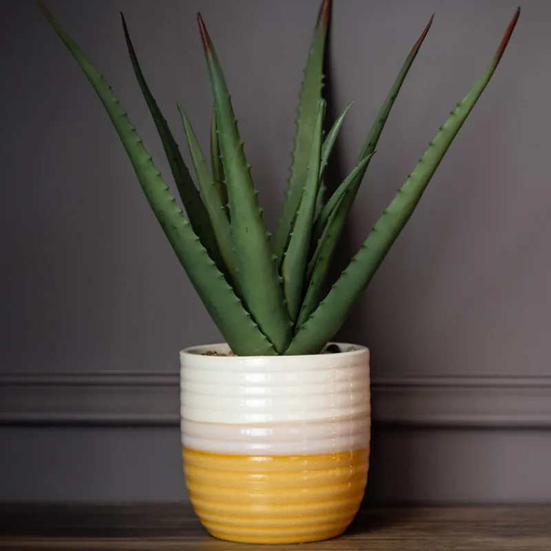 New Aloe pot bicolore Fleur, Plante Artificielle
