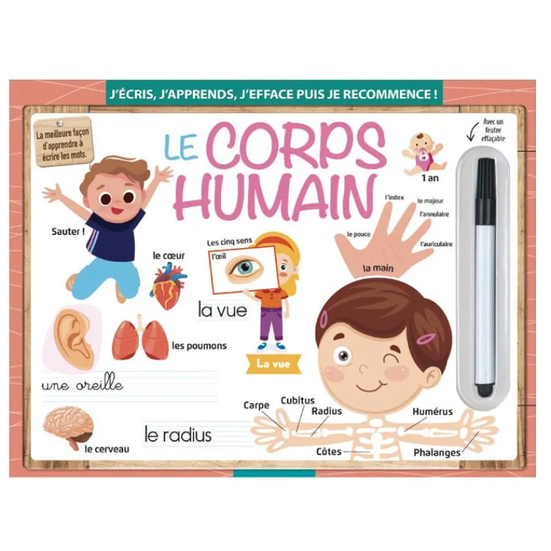 Hot Ardoise magique : le corps humai Livre, Magazine