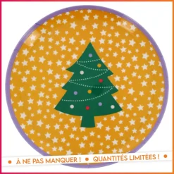 New Assiette melamine 25cm - 6 ass Reveillon