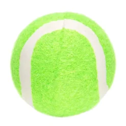 Best Balle de tennis pour chien Jouet Chien