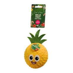 Best Balle fruit pour chien Accessoire Été