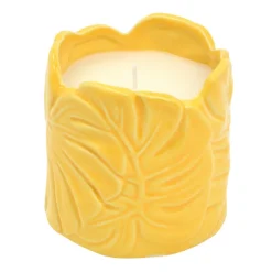 Clearance Bougie citronnelle pot palmes Objets Décoratifs