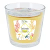 Discount Bougie ext 3 meches verre citron Anti-Nuisibles|Anti Nuisible