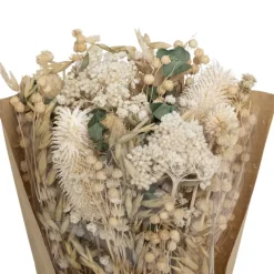 Online Bouquet fleurs sechees Fleur, Plante Artificielle