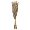 Discount Bouquet lagurus Fleur, Plante Artificielle