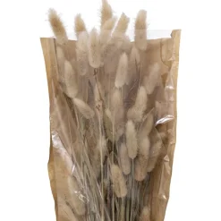 Discount Bouquet lagurus Fleur, Plante Artificielle