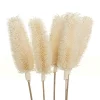 Outlet Bouquet seche Fleur, Plante Artificielle