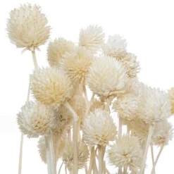 Outlet Bouquet seche Fleur, Plante Artificielle