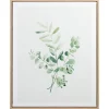 Online Cadre image eucalyptus Décoration Murale