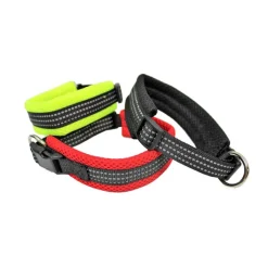 Hot Collier nylon protection 20mm Collier, Laisse, Harnais