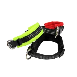 Online Collier nylon protection 15mm Collier, Laisse, Harnais