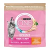 Clearance Croquettes chat junior poulet Alimentation Chat