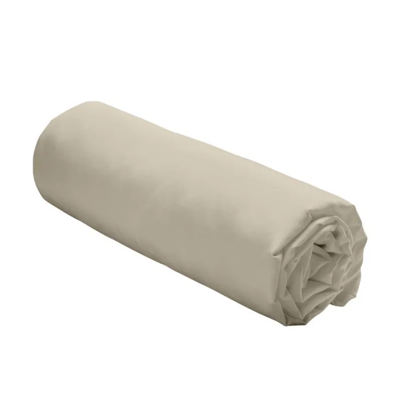 Online Drap plat 180x290 coton 57 fils Linge De Lit·Drap