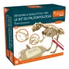 Sale Explora paleontologue - stegosau Enfant Loisirs Créatifs|Loisirs Créatifs