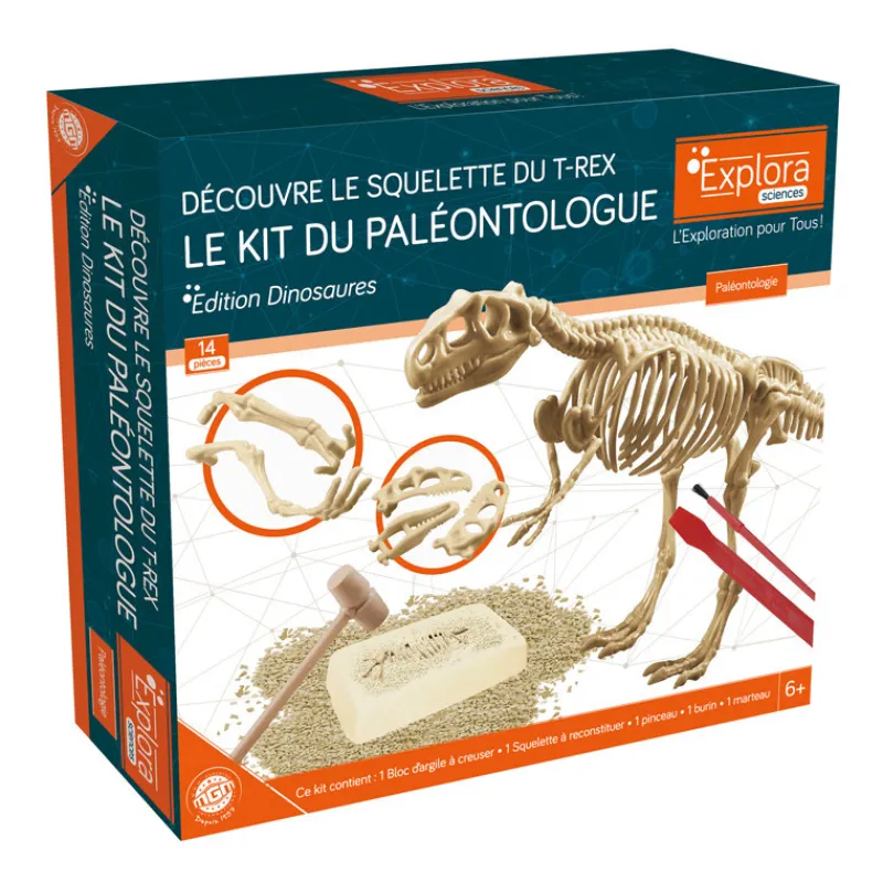 Sale Explora paleontologue - stegosau Enfant Loisirs Créatifs|Loisirs Créatifs