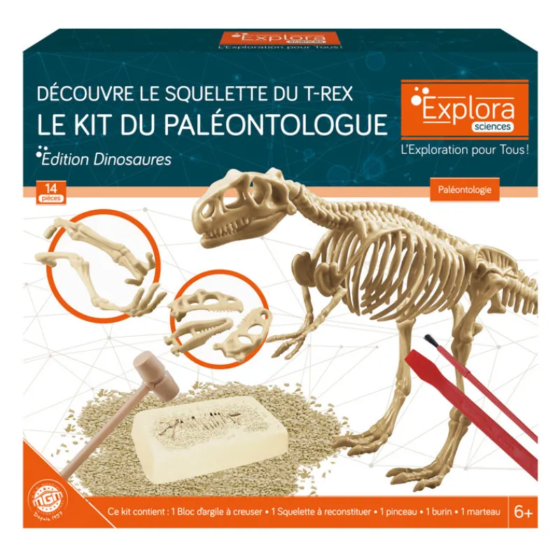 Sale Explora paleontologue - stegosau Enfant Loisirs Créatifs|Loisirs Créatifs