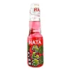 Best Hata boisson pasteque 20cl Boisson Aux Fruits