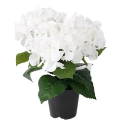 Hortensia artificiel en pot Fleur, Plante Artificielle
