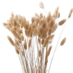 Clearance Lagurus 50cm Fleur, Plante Artificielle