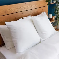Clearance Lot 2 oreillers 60x60 anti punai Linge De Lit·Oreiller