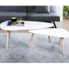 Discount Lot 2 tables basses Salon