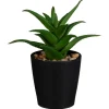 Outlet Mini succulente dans pot noir Fleur, Plante Artificielle