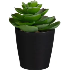 Outlet Mini succulente dans pot noir Fleur, Plante Artificielle