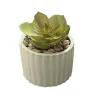 Outlet Mini succulente pot strie Fleur, Plante Artificielle