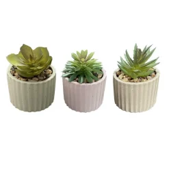 Outlet Mini succulente pot strie Fleur, Plante Artificielle