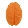 Sale Moule patisserie cerveau Plat, Moule
