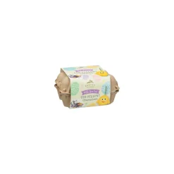 Hot Oeufs de paques a peindre Enfant Loisirs Créatifs|Loisirs Créatifs