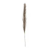 Online Pampa 145cm Fleur, Plante Artificielle