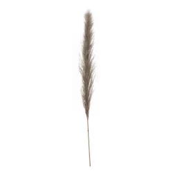 Online Pampa 145cm Fleur, Plante Artificielle