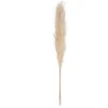 Best Pampa naturel x3 h110cm Fleur, Plante Artificielle