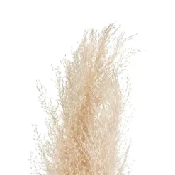 Best Pampa naturel x3 h110cm Fleur, Plante Artificielle