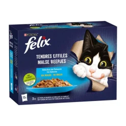 Best Patee effiles poissons Alimentation Chat