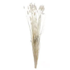Discount Phalaris 50cm Fleur, Plante Artificielle