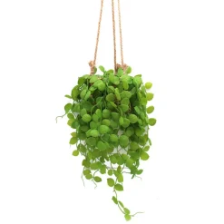 Sale Plante artificielle a suspendre Fleur, Plante Artificielle