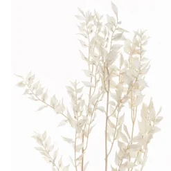 New Ruskus Fleur, Plante Artificielle
