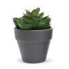 Discount Succulente artificielle en pot Fleur, Plante Artificielle