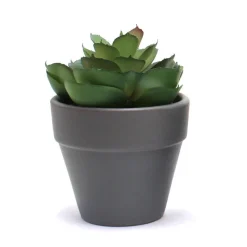 Discount Succulente artificielle en pot Fleur, Plante Artificielle