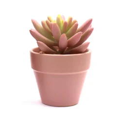Discount Succulente artificielle en pot Fleur, Plante Artificielle