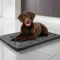 Online Tapis pour chien ventile Accessoire Été