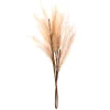 Hot Tige pampa artificielle beige Fleur, Plante Artificielle
