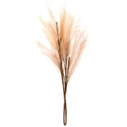 Hot Tige pampa artificielle beige Fleur, Plante Artificielle