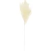 Sale Tige pampa artificielle creme Fleur, Plante Artificielle