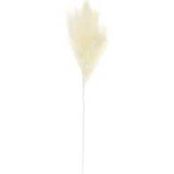 Sale Tige pampa artificielle creme Fleur, Plante Artificielle