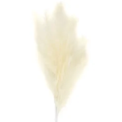 Sale Tige pampa artificielle creme Fleur, Plante Artificielle